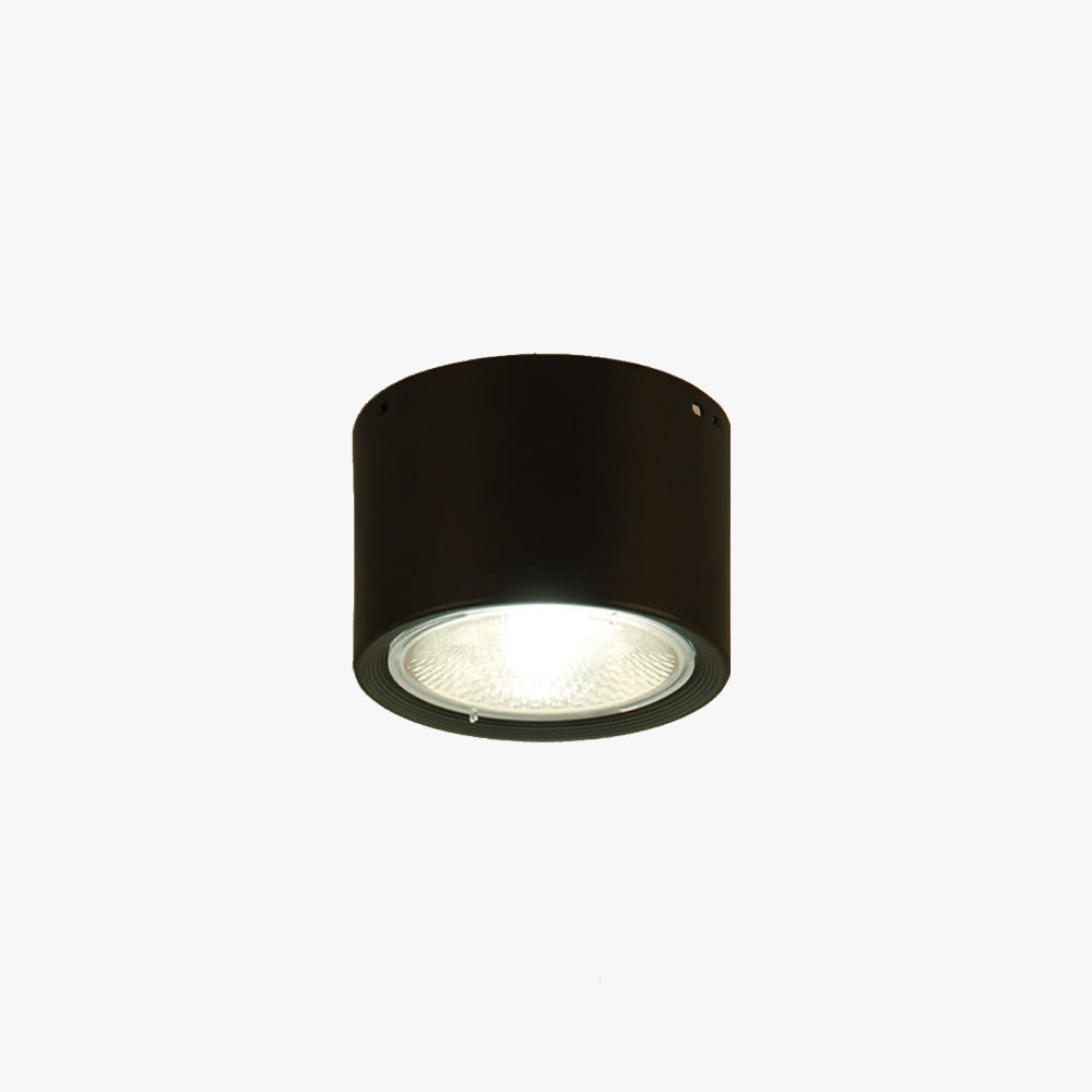 Wazor Modern ronde vlakke plafondlamp, Hout/Zwart, Woonkamer