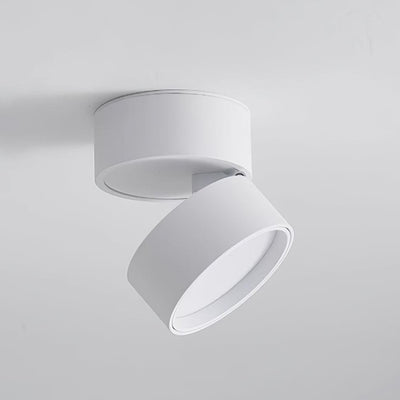 Stralio Plafondlamp - Elegante Opbouw Verlichtingsoplossing