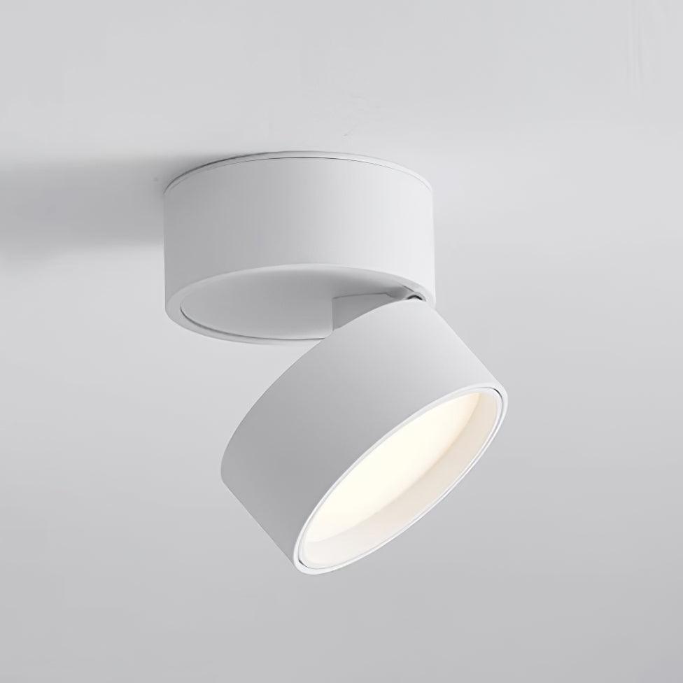 Stralio Plafondlamp - Elegante Opbouw Verlichtingsoplossing