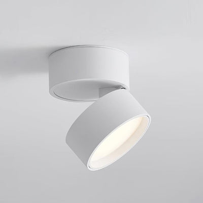 Stralio Plafondlamp - Elegante Opbouw Verlichtingsoplossing