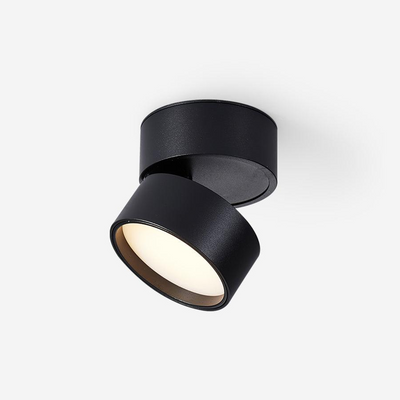 Stralio Plafondlamp - Elegante Opbouw Verlichtingsoplossing