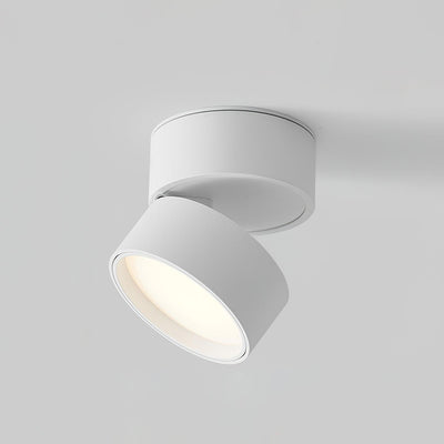 Stralio Plafondlamp - Elegante Opbouw Verlichtingsoplossing