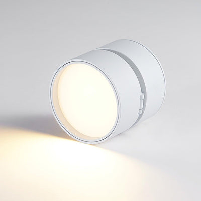 Stralio Plafondlamp - Elegante Opbouw Verlichtingsoplossing