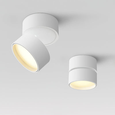 Stralio Plafondlamp - Elegante Opbouw Verlichtingsoplossing